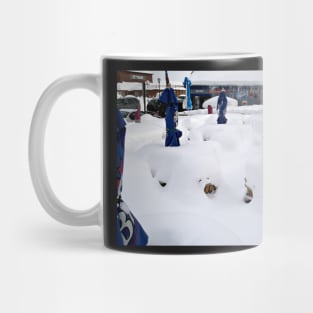 I've heard they serve the coldest beer in town ! Mug